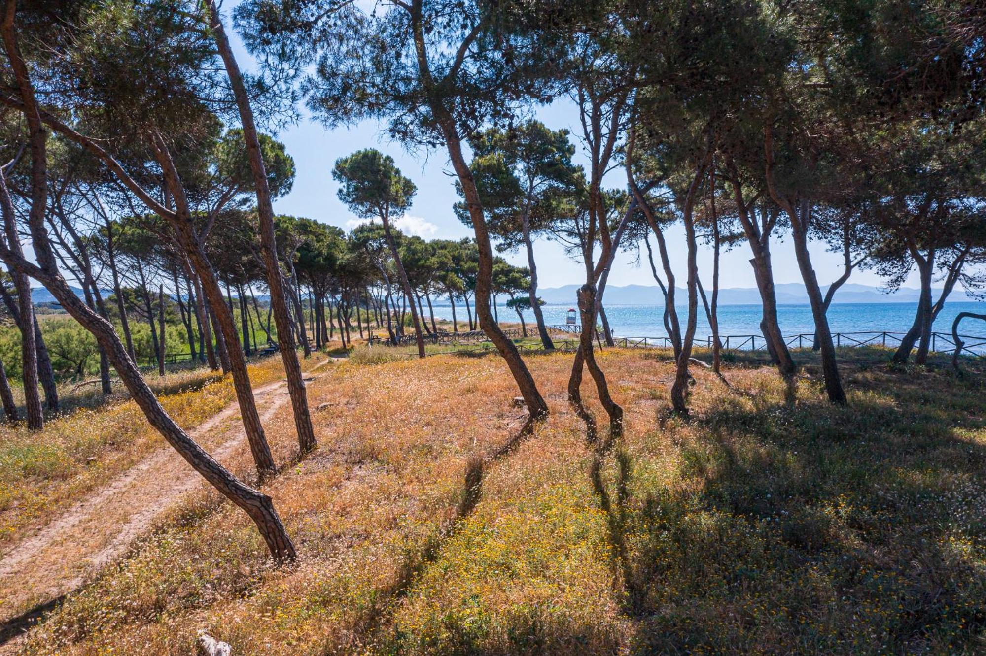 Villaggio Orizzonte Riotorto Eksteriør billede